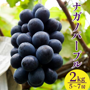 yӂ邳Ɣ[Łzy 2026 N s\ z iKmp[v 1.2kg 2kg JcԂǂ 3[ ` 4[ 5[ ` 7[ Ԃǂ uhE Y ʕ   t[c 1.2L 1kg ȏ 8 { 9   H {