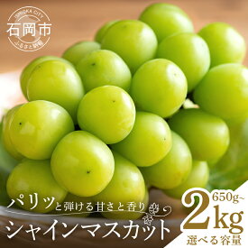 【ふるさと納税】【 2026年 先行予約 】 シャインマスカット 650〜750g 1.2kg 1.5kg 2kg 石田ぶどう園 2房 種なし ぶどう ブドウ 国産 果物 大粒 葡萄 種無し フルーツ 1kg以上 9月 10月 発送 秋 旬 品種 茨城県産 産直 農家 直送 冷蔵 茨城県 石岡市 送料無料