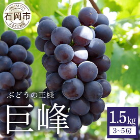 【ふるさと納税】【 2026年 先行予約 】 巨峰 ( 種あり ) 1.5kg 3房〜5房 鈴木ぶどう園 ぶどう ブドウ 国産 果物 くだもの 葡萄 フルーツ 1.5キロ 8月 下旬 9月 10月 発送 夏 秋 旬 品種 茨城県産 産地直送 産直 農家直送 冷蔵 石岡市 送料無料 (A07-001)