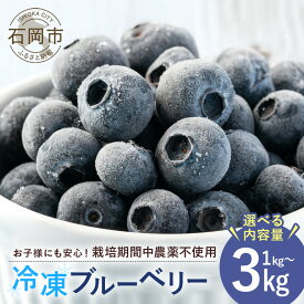 【ふるさと納税】【2026年先行予約】 元気に育った ブルーベリー 選べる内容量 1kg 1.5kg 2kg 3kg 冷凍 農薬 栽培期間中 不使用 果物 フルーツ 1キロ 手摘み 急速冷凍 国産 産地直送 農家直送 産直 夏 スムージー くだもの 茨城 茨城県 石岡市 送料無料 (A11-008-SKU)
