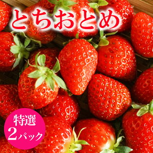 �y�ӂ邳�Ɣ[�Łz�y2026�N��s�\��z �u���̂�V�N�������v �Ƃ����Ƃ� ���I ������ �C�`�S � 2p 2�p�b�N ���Y �ʕ� �t���[�c �������� 1�� 2�� 3�� ���� �~ �{ �Y�n���� �_�ƒ��� �Y�� �Â� �f