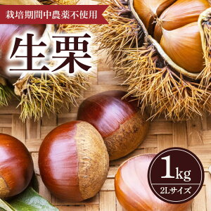 yӂ邳Ɣ[Łzy 2026N s\ z I 1kg ʂ܂鉀 I  N 2L TCY 1L _ Eܕsgp Y aI ÌI ʕ t[c  H { 9 10  Yn _ƒ 