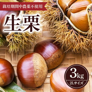 yӂ邳Ɣ[Łzy 2026N s\ z I 3kg ʂ܂鉀 I  N 2L TCY 3L _ Eܕsgp Y aI ÌI ʕ t[c  H { 9 10  Yn _ƒ 