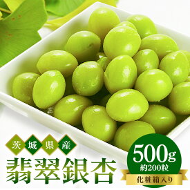 【ふるさと納税】 つくば 銀杏 ( ぎんなん ) 蒸し 冷凍 翡翠銀杏 ( ひすいぎんなん ) 500g 農薬不使用 無着色 贈答品 ギフト 高級 旬 食材 食品 国産 冷凍保存 産地直送 送料無料 (A24-002)