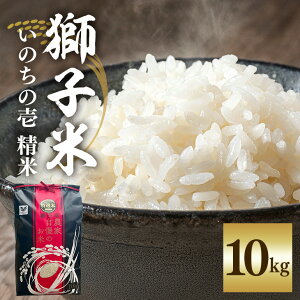 yӂ邳Ɣ[Łz yߘa7NYzq ̂̈  10kg ct@[ ReXgܕ     10L Y R   錧Y  Y Yn _ƒ ͂ 