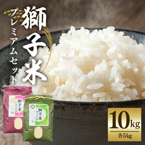 yӂ邳Ɣ[Łzyߘa7NYzqČv~AZbgi10Zbgjv~A10