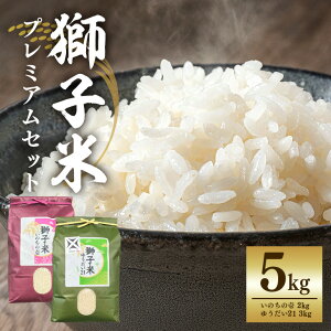 yӂ邳Ɣ[Łzyߘa7NYzqČv~AZbgi10Zbgjv~A5   5kg Hה Zbg Yn 錧 Ήs B02-085