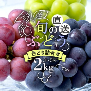 yӂ邳Ɣ[Łzy 2025N s\ z {̂Ԃǂ FƂǂ l 2kg Yqʎ 3[ ` 5[ lߍ킹 i C Hה Zbg ʕ  Ԃǂ uhE t[c 2L 9
