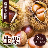 楽天市場】生栗 10kgの通販