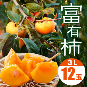 �y�ӂ邳�Ɣ[�Łz �y 2026�N ��s�\�� �z �x�L�` 3L 12�� 1�i�� ���ʎ��� �` �Â��` ��� ���� �x�L�J�L �Â� �ʕ� �t���[�c �������� �J�L �x�L���� �H �{ ���x �����p �����i �M�t�g ���蕨 �i