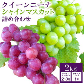 【ふるさと納税】【 2026年 先行予約 】 シャインマスカット ＆ クイーンニーナ 詰め合わせ 2kg 開田ぶどう園 ぶどう ブドウ 国産 果物 くだもの 葡萄 フルーツ セット ギフト 2キロ 9月 10月 発送 夏 秋 旬 産地直送 産直 農家直送 冷蔵 茨城県 石岡市 (A01-009)