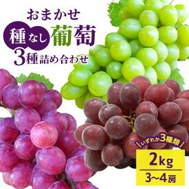 【ふるさと納税】【 2026年 先行予約 】 おまかせ 種なし 葡萄 3種 詰め合わせ 2kg 開田ぶどう園 3房 〜 4房 種無し 品種 お任せ 食べ比べ セット ぶどう ブドウ 果物 くだもの フルーツ 2キロ 秋 旬 茨城県産 産地直送 産直 農家直送 冷蔵 茨城県 石岡市 (A01-010)
