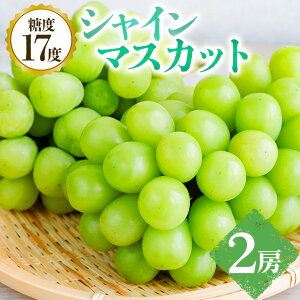 yӂ邳Ɣ[Łzy 2026N s\ z VC}XJbg 2[ x 17xȏ vƂԂǂ  1.4kg ` 1.5kg Ԃǂ uhE L@ 엿 nEX ͔| ʕ  t[c 9 10  H { i 