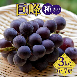 yӂ邳Ɣ[Łzy 2026N s\ z  2kg 3kg i 킠 j vƂԂǂ 4[ ` 5[ 6[ ` 7[ Ԃǂ uhE L@ 엿 nEX ͔| Y ʕ   t[c 2L 8   