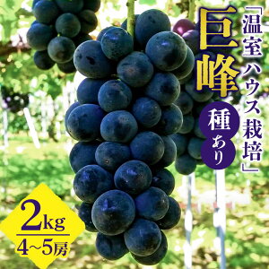 yӂ邳Ɣ[Łzy 2026N s\ z unEX͔|v  1kg 2kgi 킠 j vƂԂǂ 2[ 4[ ` 5[Ԃǂ uhE L@ 엿 nEX ͔| Y ʕ   t[c 1L 