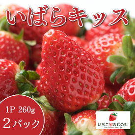 【ふるさと納税】いちご いばらキッス 2p いちご家のむのむ イチゴ 苺 2パック 国産 果物 フルーツ くだもの 1月 2月 発送 冬 旬 産地直送 農家直送 産直 甘い デザート スイーツ 家庭用 贈答 贈答用 茨城 茨城県 石岡市 (A28-002)