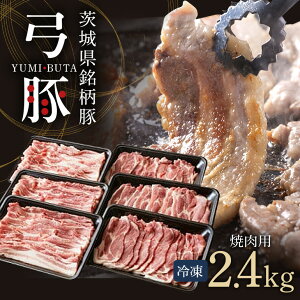 yӂ邳Ɣ[Łz| ē Zbg 2.4kg ؓ a   J^[X o 2 ē Ă o[xL[ Y i  Yn wV[ ƒp Mtg  Ⓚ e  ֗