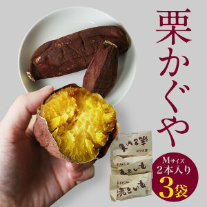 【ふるさと納税】焼き芋( 栗かぐや )Mサイズ 2本入り 3袋 ( 計6本 ) 焼き芋 焼いも 焼芋 さつまいも サツマイモ さつま芋 芋 いも スイーツ お菓子 デザート 和菓子 おやつ 国産 しっとり 取