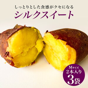【ふるさと納税】焼き芋( シルクスイート )Mサイズ 2本入り 3袋 ( 計6本 ) 焼き芋 焼いも 焼芋 さつまいも サツマイモ さつま芋 芋 いも スイーツ お菓子 デザート 和菓子 おやつ 国産 しっと