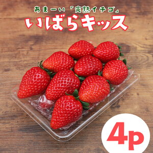 yӂ邳Ɣ[Łzy2026Ns\z n u ΂LbX v4p 1kg ȏ n  4pbN Â x t  { t[c ʕ fU[g Mtg p Y ̂ VN Yn 