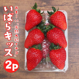 yӂ邳Ɣ[Łzy2026Ns\z n嗱 u ΂LbX v2p v 540g n  2pbN Â x t  { t[c ʕ fU[g Mtg p Y ̂ VN Yn