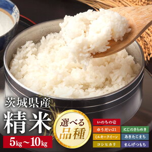 yӂ邳Ɣ[Łz錧Y   iEeʁEIׂ 1`3 5kg 10kg RVqJ ܂ ~L[NC[ ɂ̂߂ ̂̈ 䂤21 ܂񂰂 