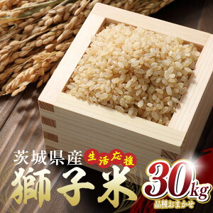 �y�ӂ邳�Ɣ[�Łz �y12������z���������I ���q�� 30kg ���� ���� �� ���܂��� �����Ђ��� �ɂ��̂���߂� ���������܂� ���� ���͂� �Y�n���� ���Y ��錧 �Ή��s B02-089