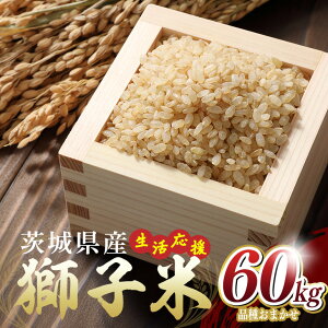 yӂ邳Ɣ[Łz y12zI q 60kg    ܂ Ђ ɂ̂߂ ܂  ͂ Yn Y 錧 Ήs B02-090