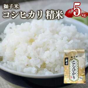 yӂ邳Ɣ[Łz yߘa7NYzq RVqJ  5kg ct@[ ReXgܕ     Ђ 5L Y Pꌴ R   錧Y  Y Yn