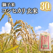 楽天市場】茨城コシヒカリ玄米30キロの通販
