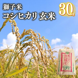 yӂ邳Ɣ[Łzyߘa7NYzq RVqJ  30kg ct@[ ReXgܕ    uh Ђ 30L Y R    錧Y  Y Y