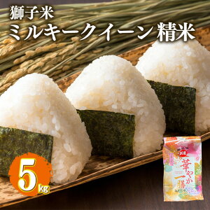yӂ邳Ɣ[Łz yߘa7NYzq ~L[NC[  5kg ct@[     uh ~L[ 5L Y Pꌴ R    錧Y  Y 