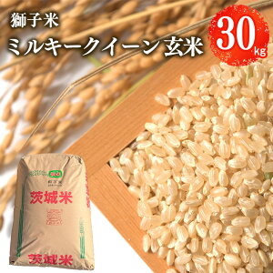 yӂ邳Ɣ[Łzyߘa7NYzq ~L[NC[  30kg ct@[    uh ~L[ 30L Y Pꌴ R    錧Y  Y Yn
