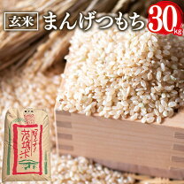 楽天市場】もち米 玄米30kg（産地（都道府県）茨城）の通販