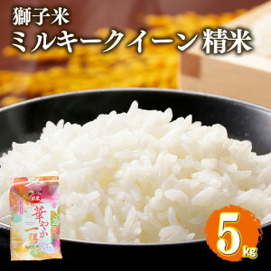 yӂ邳Ɣ[Łz yߘa7NYzq ~L[NC[  5kg ct@[     uh ~L[ 5L Y Pꌴ R    錧Y  Y 