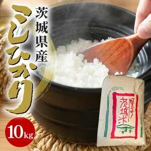 yӂ邳Ɣ[Łzyߘa6NYzΉsYRVqJ 10kg  20   Ђ   RVqJ uh  Y ͂  R  Mtg 蕨 ٓ 