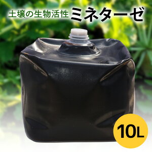 yӂ邳Ɣ[Łz ~l^[[ 10L y y늈   ~l 엿 | _ ƒ؉ K[fjO  엿  ͔|T|[g T|[g Ap {pt t 퉷 