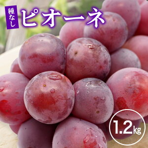 yӂ邳Ɣ[Łzy2026Ns\zsI[l1.2kg Ԃǂ uhE  ʕ  t[c A01-017