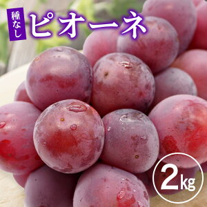 yӂ邳Ɣ[Łzy2026Ns\zsI[l 2kg Ԃǂ uhE  ʕ  t[c A01-018