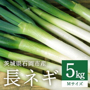 yӂ邳Ɣ[Łz lM 5kg TCY Iׂi LTCY / MTCY / LEMTCY ~bNX j ˂ ˂ lM K Y ① 錧Y  O[ xW^u M  Ă˂  