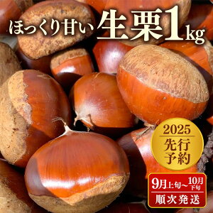 yӂ邳Ɣ[Łzy2025s\z錧Y I1kg