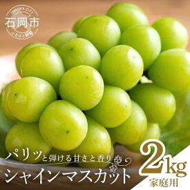 【ふるさと納税】【ご家庭用　数量限定】 シャインマスカット家庭用2kg 3～6房　種なし ぶどう ブドウ 国産 果物 葡萄 種無し フルーツ 不揃い 家庭用 秋 旬 品種 茨城県産 産直 農家 直送 冷蔵 茨城県 石岡市 A02-020