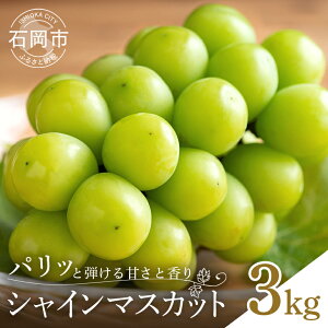 yӂ邳Ɣ[Łz y2026Ns\zVC}XJbg3kgi5`7[j  uhE t[c ʕ  Yn 錧 Ήs A02-023