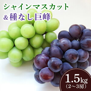 yӂ邳Ɣ[Łz y2026Ns\zVC}XJbgƋi킠j1.5kgi2`3[j  uhE t[c ʕ  Yn 錧 Ήs A02-024