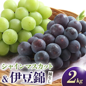 yӂ邳Ɣ[Łz y2026Ns\zVC}XJbgƈɓсiȂj2kgiVC}XJbg2[Aɓ2[j  uhE t[c ʕ  Yn 錧 Ήs A02-028