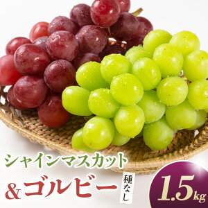 yӂ邳Ɣ[Łz y2026Ns\zVC}XJbgƃSr[iȂj1.5kgi2`3[j  uhE t[c ʕ  Yn 錧 Ήs A02-029