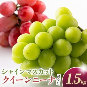 yӂ邳Ɣ[Łz y2026Ns\zVC}XJbgƃNC[j[iiȂj1.5kgi2`3[j  uhE t[c ʕ  Yn 錧 Ήs A02-030