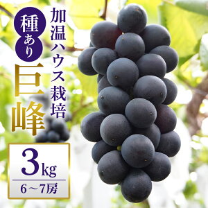 yӂ邳Ɣ[Łzy 2026N s\ z unEX͔|v  2kg 3kgi 킠 j vƂԂǂ 4[ ` 5[ 6[ ` 7[ Ԃǂ uhE L@ 엿 nEX ͔| Y ʕ   t[