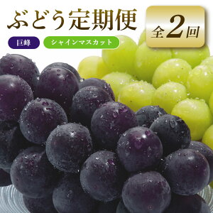 yӂ邳Ɣ[Łz y2026Ns\zԂǂ  2  uhE t[c ʕ  Yn 錧 Ήs A04-011