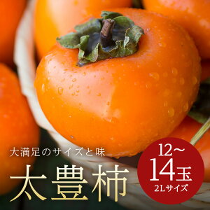 yӂ邳Ɣ[Łzy 2026N s\ z L` 2L 12`14 i؊`j ` Â` x L  JL Â ʕ t[c   H { Ê` p i Mtg 蕨 i